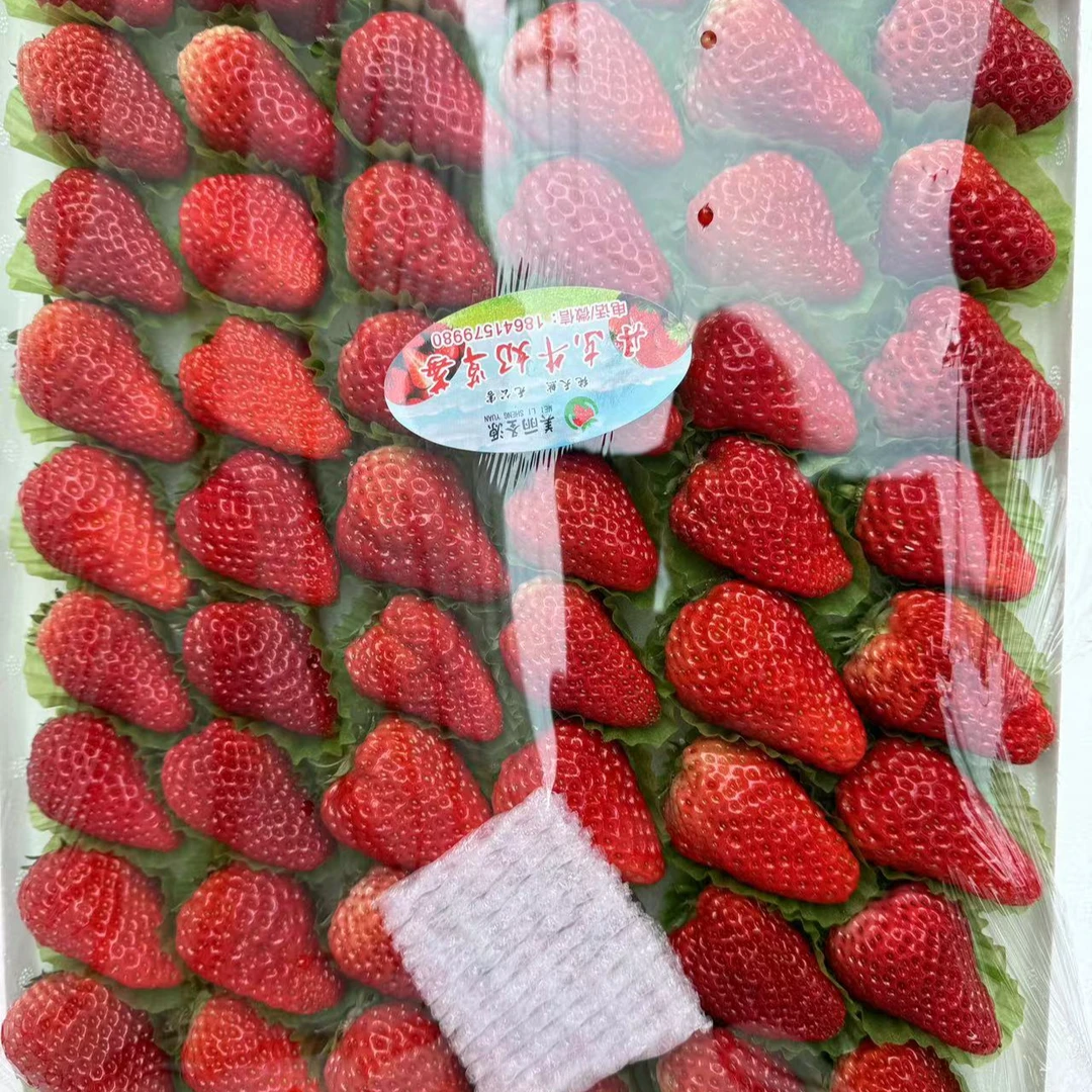 【吉林市同城配送】丹东九九草莓6排中果