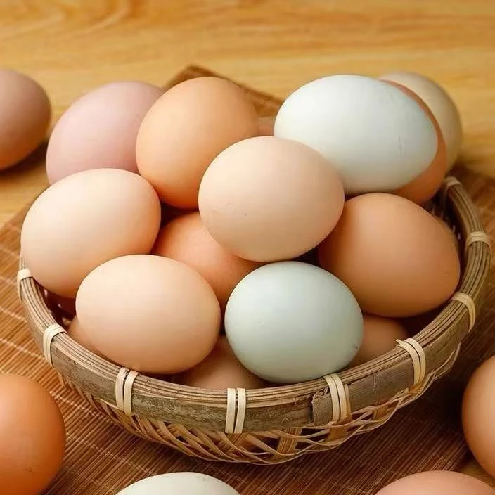 【顺丰快递】农场散养土鸡蛋营养好吃