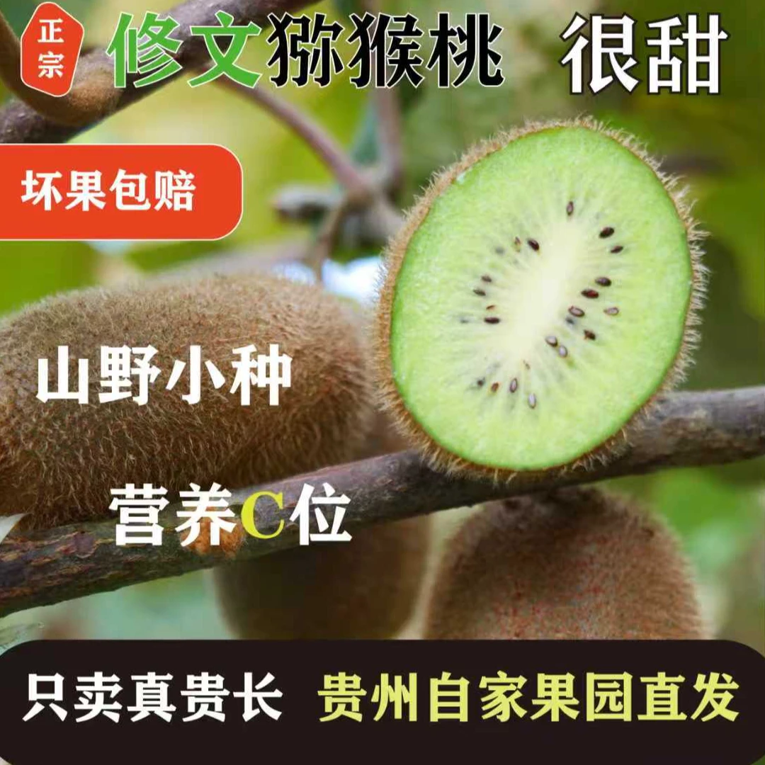 修文贵长猕猴桃应季新鲜水果奇异果香甜软糯