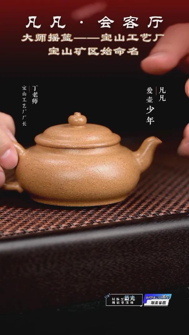 茶壶紫砂DL06 梅佳 影黄降坡120cc