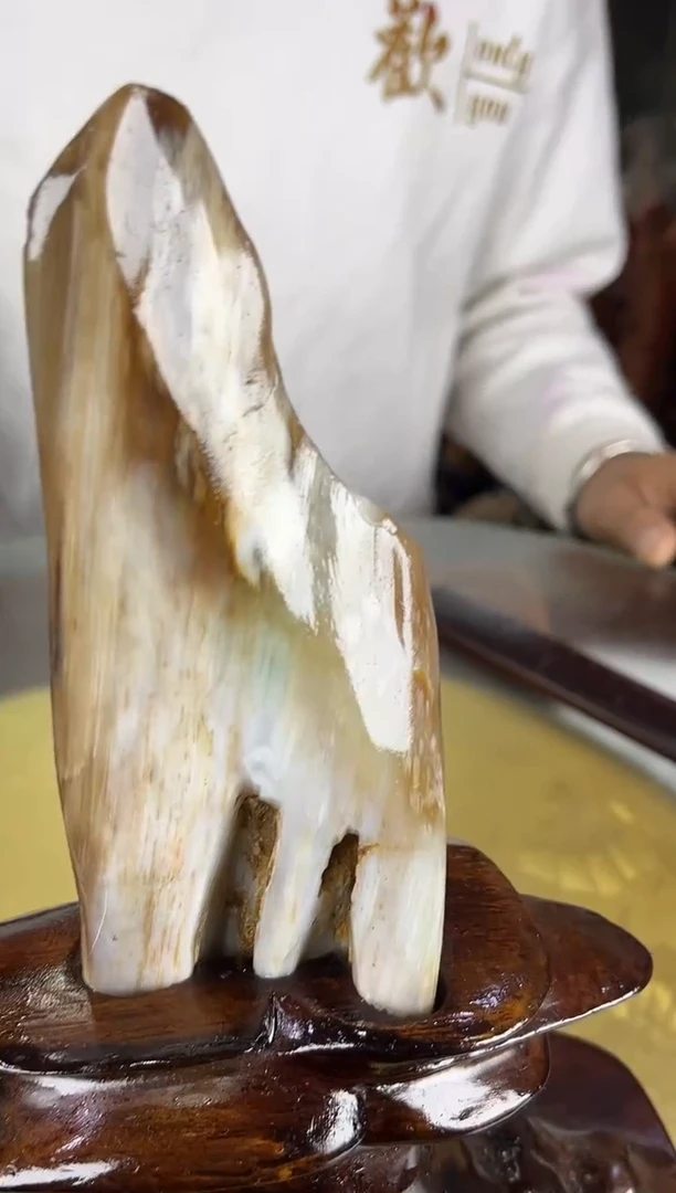 缅甸天然树化玉精品摆件