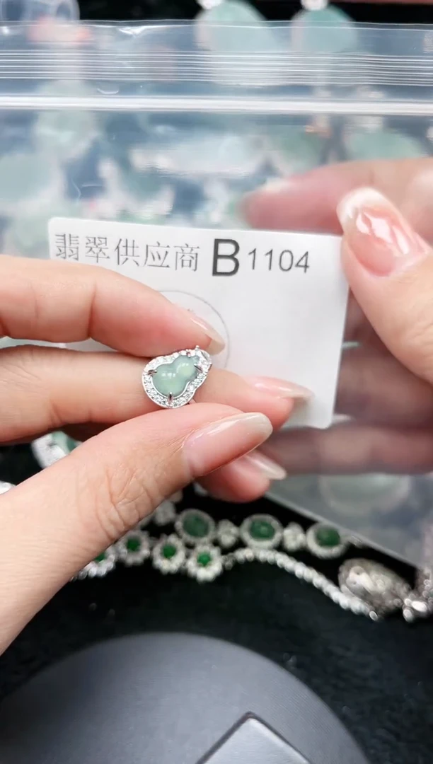 【闪购商品】翡翠颈饰未镶嵌赠皮绳1104