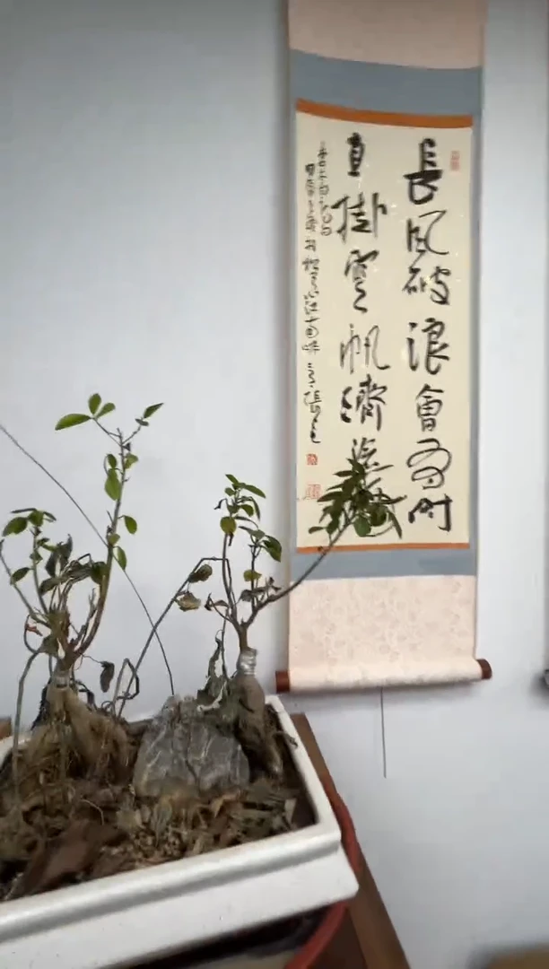 【闪购商品】书法书法张戈SF205153F长风破浪会有时