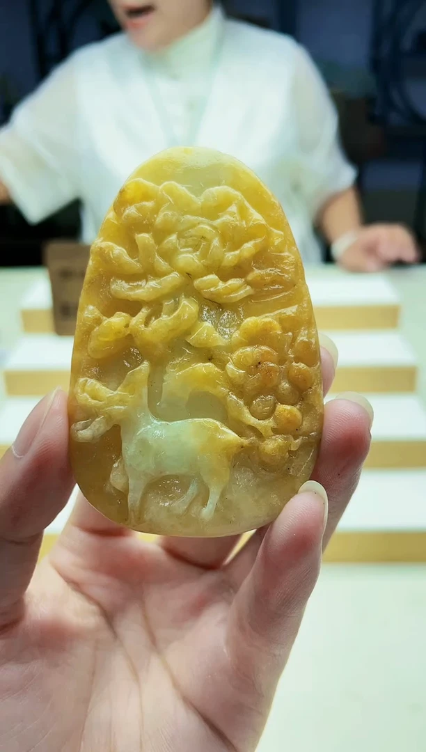 颈饰未镶嵌翡翠09120302