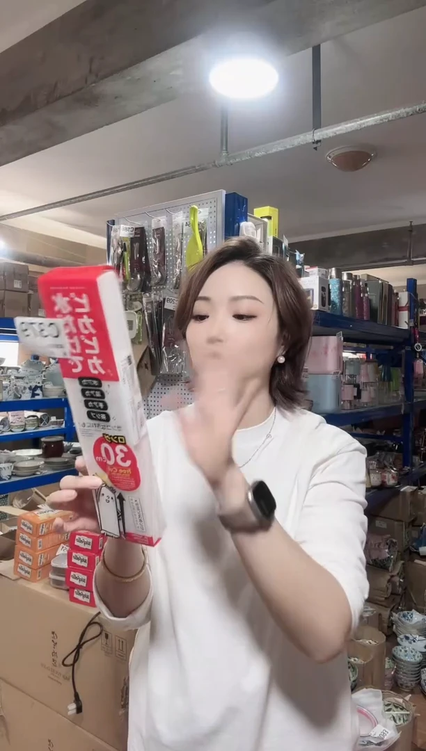 瓷片进口家用百货 C379擦