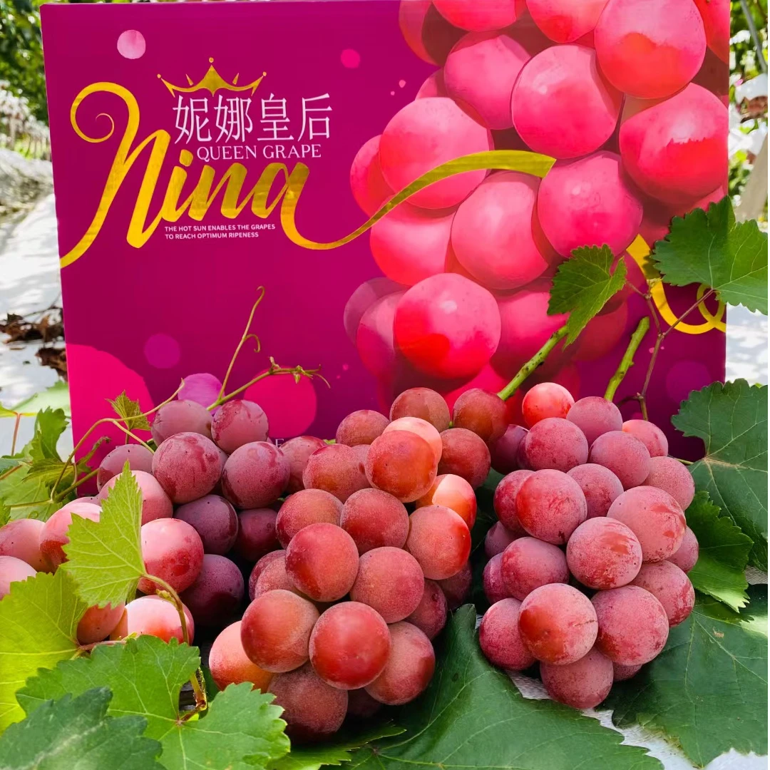 【顺丰/EMS】妮娜皇后妮娜公主女皇葡萄孕妇当季新鲜水果葡萄提子