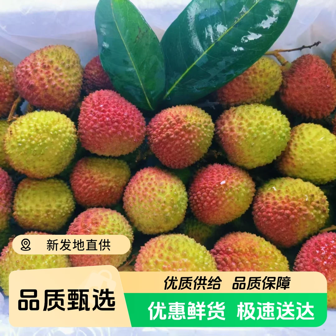 【鹏程甄选】海南妃子笑荔枝新鲜采摘头茬特级果2.5斤海南省