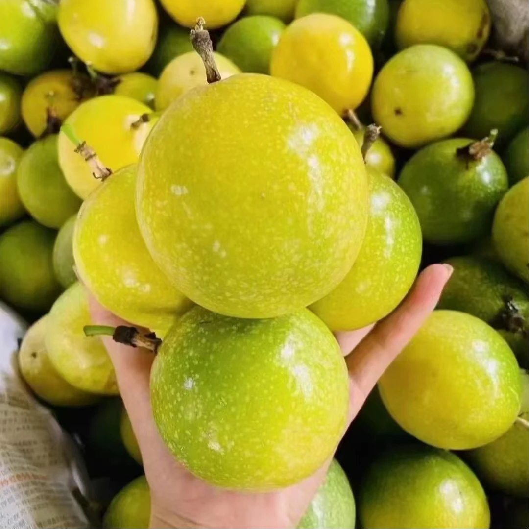 正宗海南钦蜜9号黄金百香果 果肉爆汁 新鲜现摘 产地直发