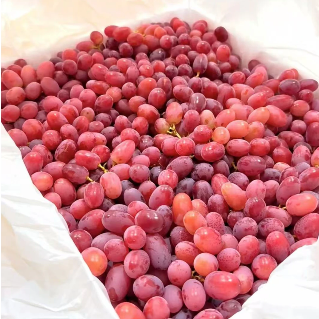 《果虎》澳洲无籽糖豆红提子香甜爆汁顺丰包邮g新鲜