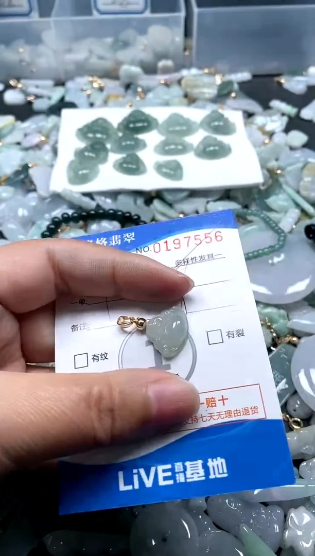 【闪购商品】翡翠颈饰未镶嵌闪购商品0197556