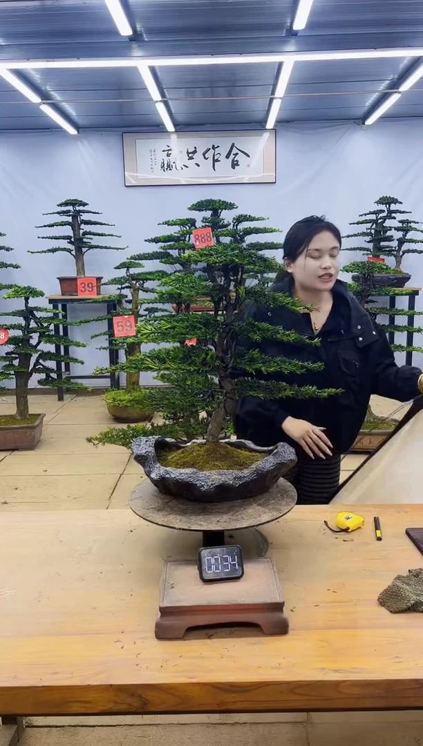一物一拍，所见即所得