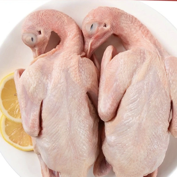 （顺丰到家）崇明岛生态乳鸽 350g  2只装