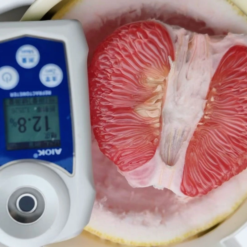 柚子哥精品马家柚 一箱二个7斤±1斤 全国除边远包邮