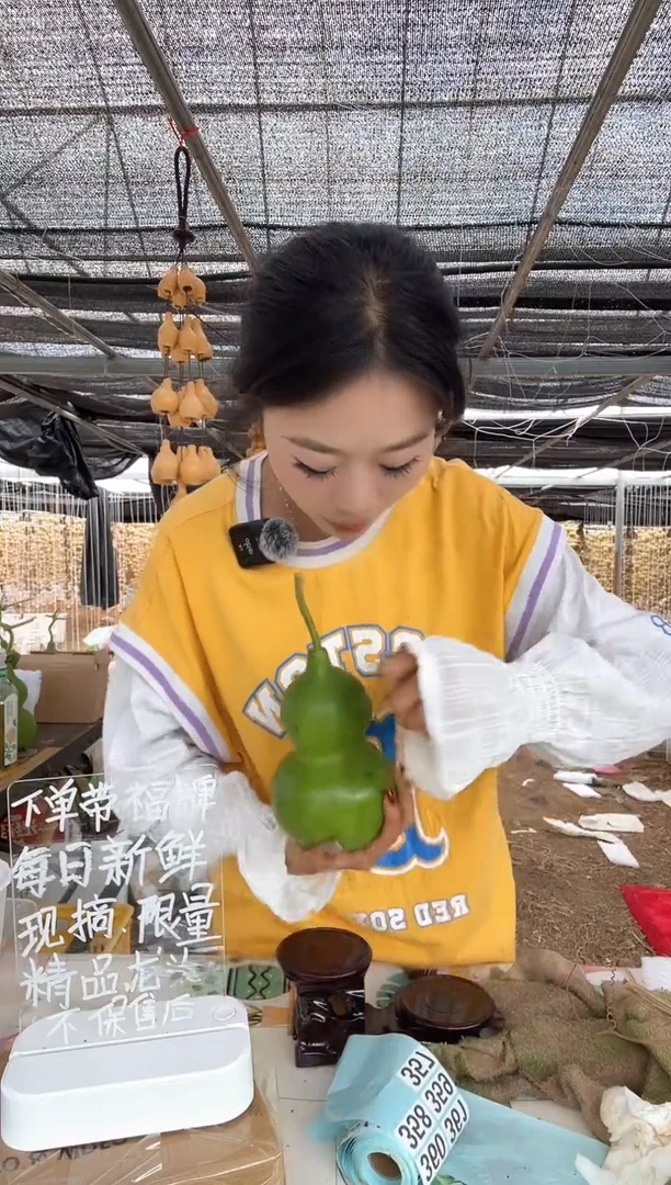 356天然葫芦摆件 一物一拍龙头不保售后