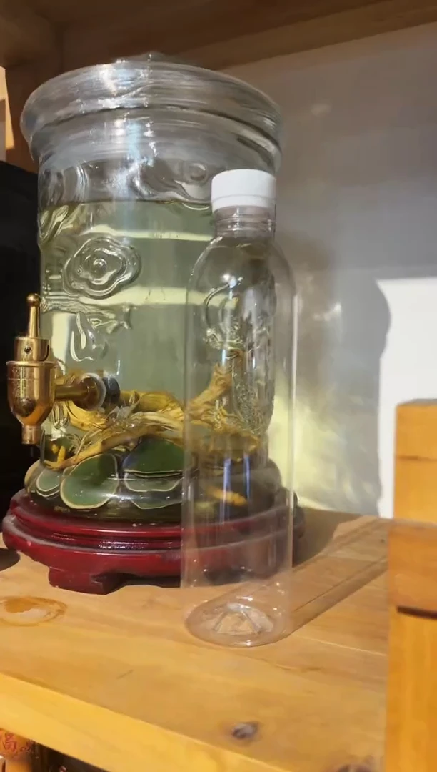 茶壶紫砂自泡酒500毫升