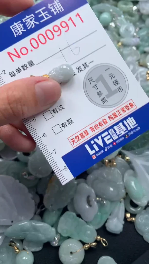 颈饰未镶嵌翡翠9911