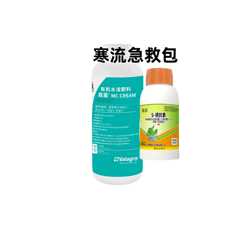 果树寒流急救提高抗逆恢复树势减少寒流伤害促进发育改善光合作用