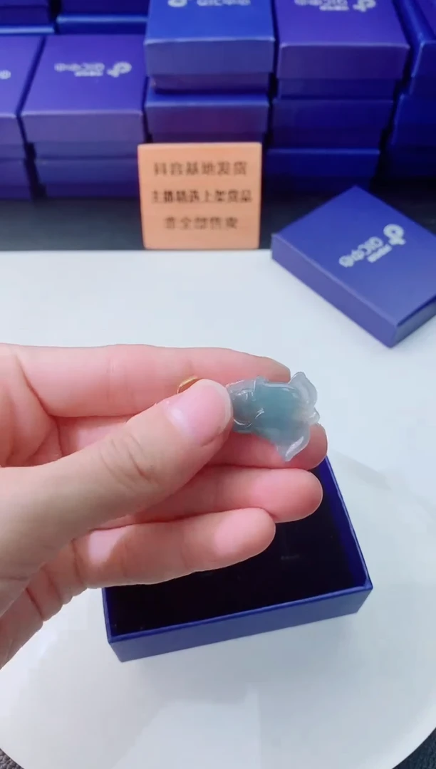 翡翠未镶嵌颈饰