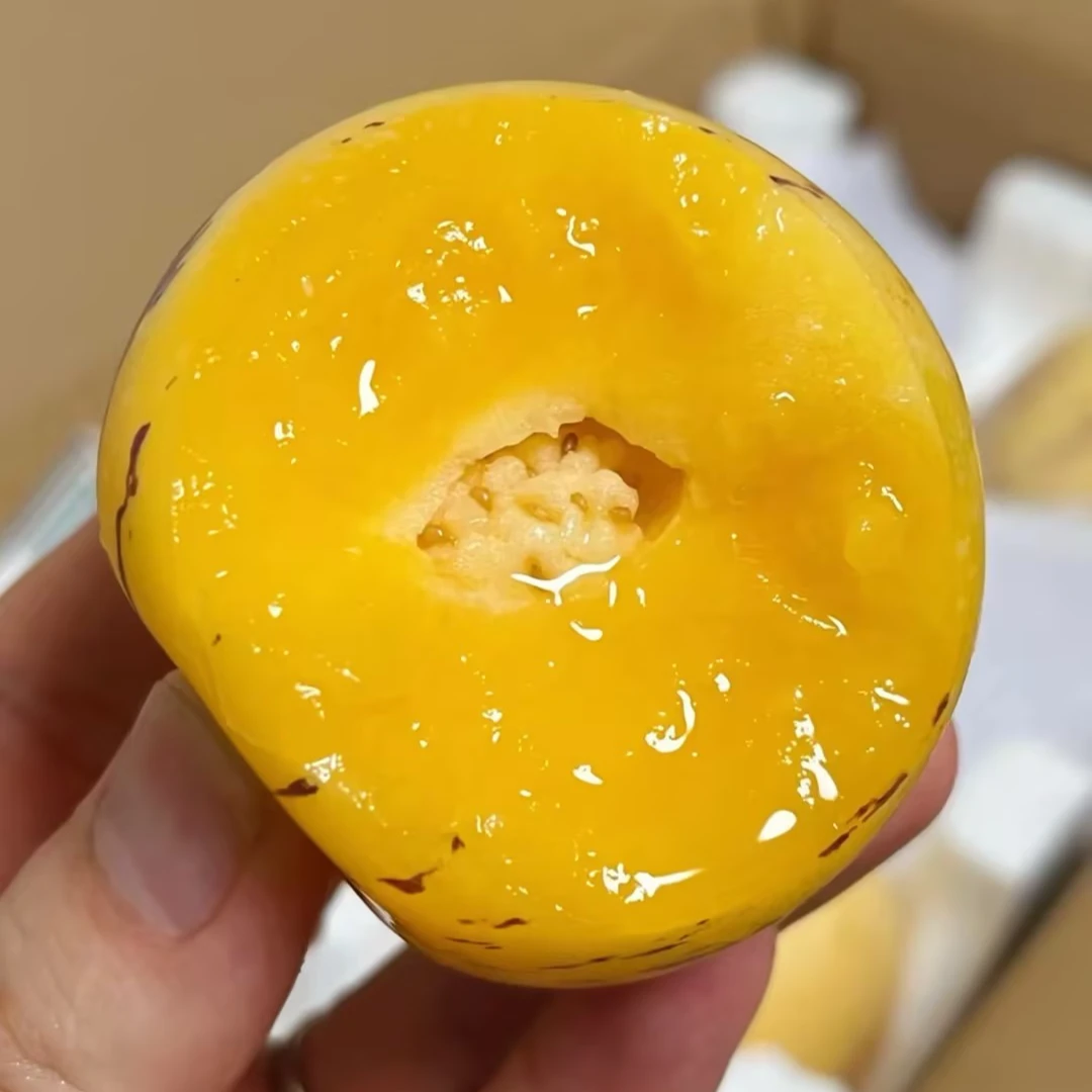 池雨云南石林人参果树上熟黄肉圆果清甜新鲜皮薄多汁【小五姐】