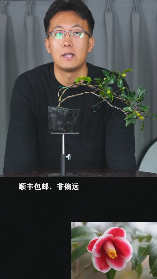 【闪购商品】-玉之浦-S84