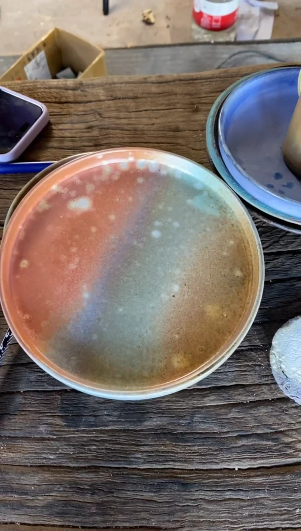 【闪购商品】浪鬼家生活陶系列盘子