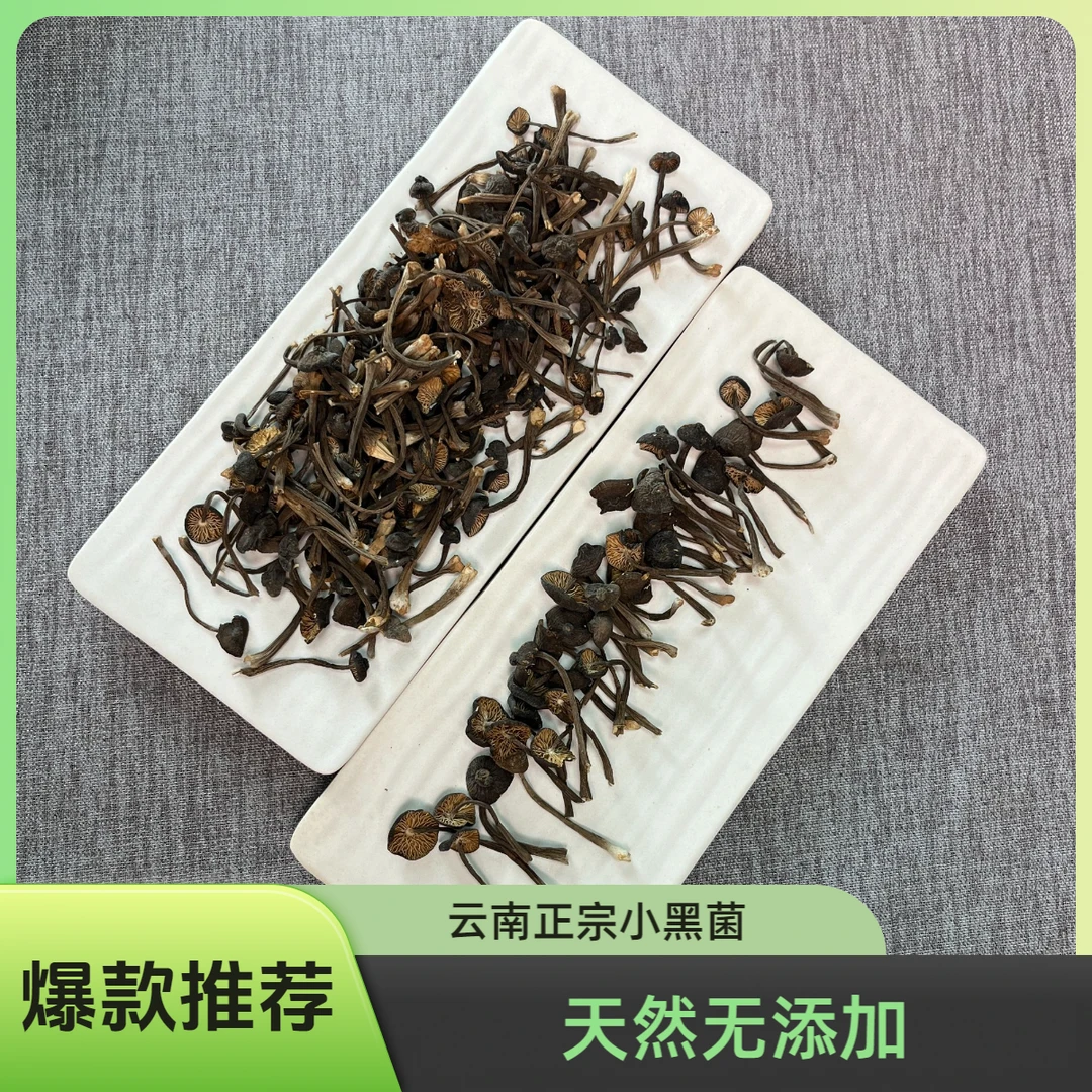 云南正宗野生小黑菌