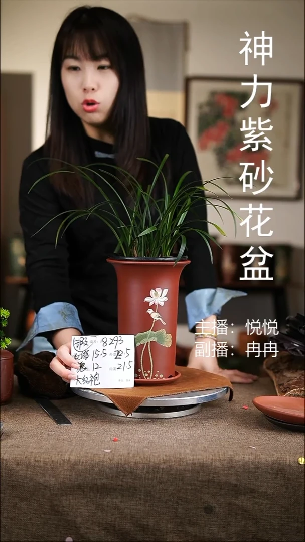 紫砂花盆紫砂花盆8293+z
