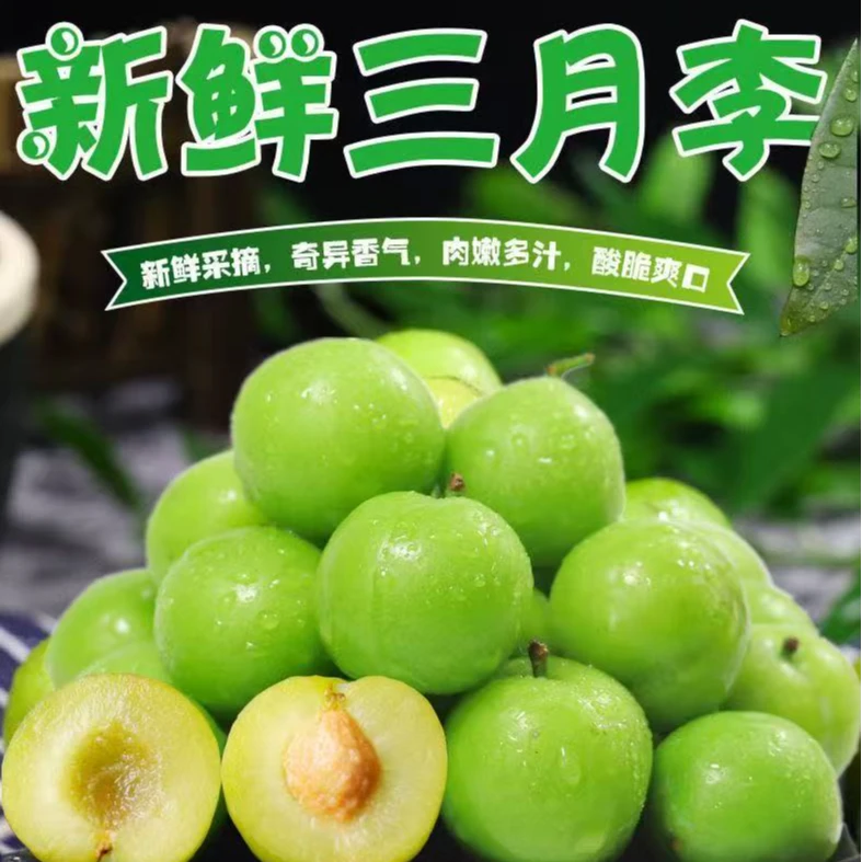 广东茂名新鲜青李子三月李三华李孕妇水果酸脆李子当季水果整箱