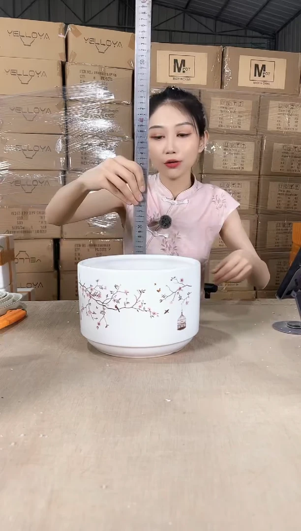 蝴蝶兰鸟笼白色中号21x15