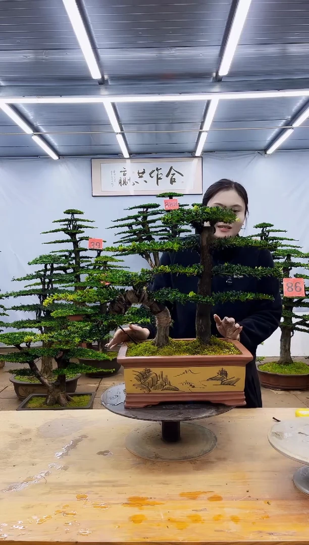 无花朵一物一拍，所见即所得