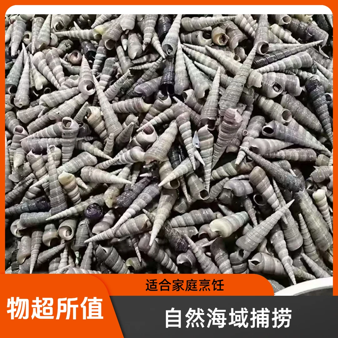 鲜活剪尾钉螺500克/份