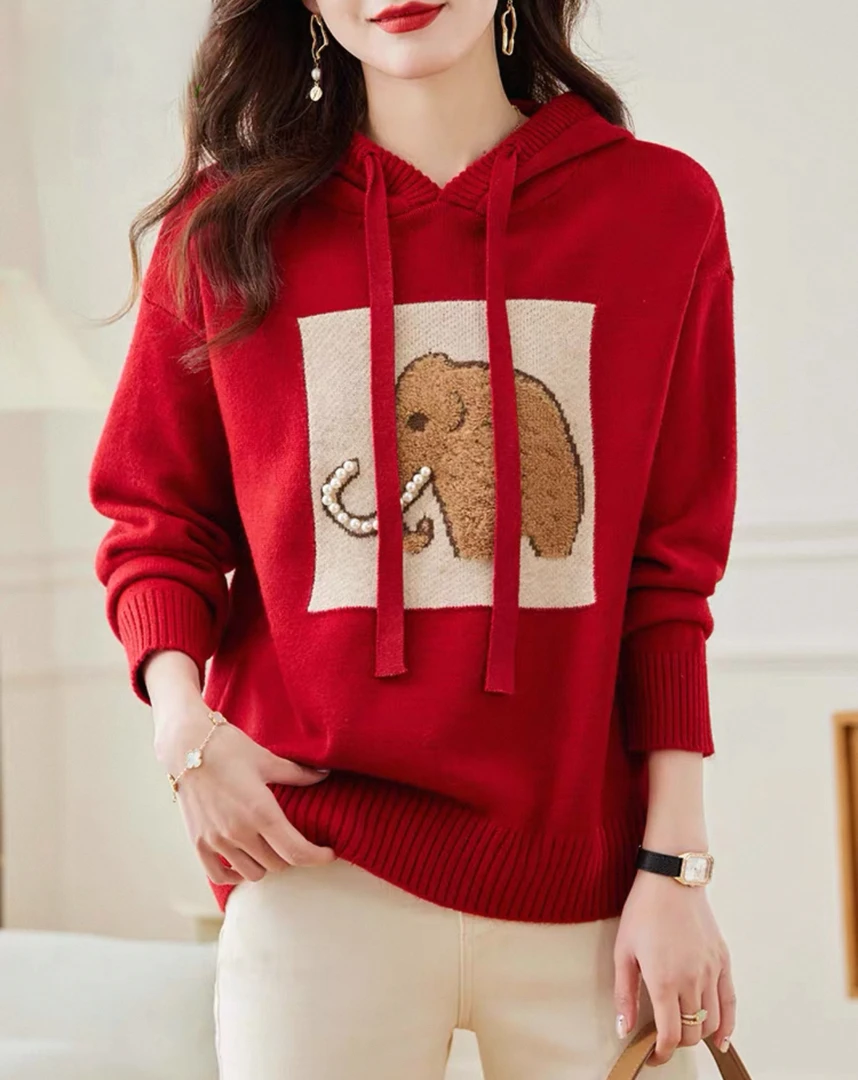 1343时尚休闲百搭连帽针织打底