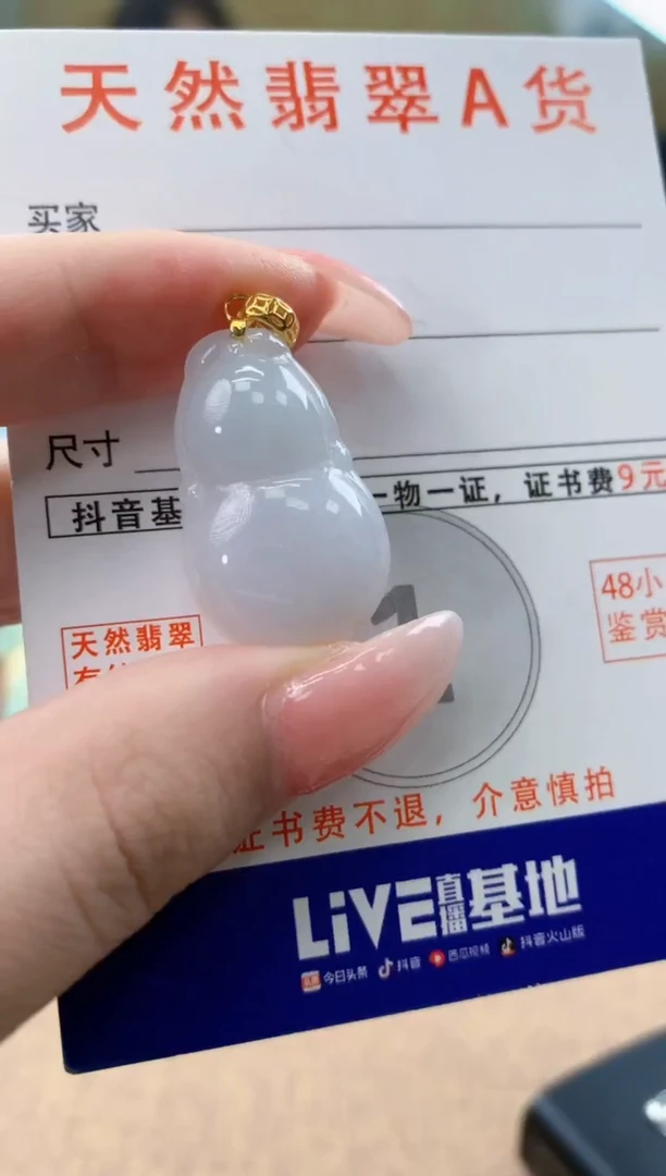 颈饰未镶嵌翡翠天然A货翡翠挂件