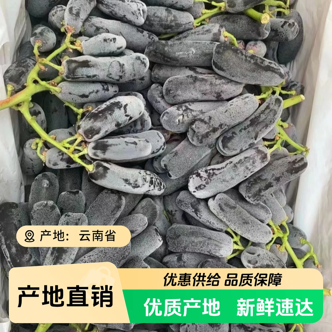 金手指葡萄特级果 3-5斤 脆甜无籽 当季新鲜水果 只发川渝云南省