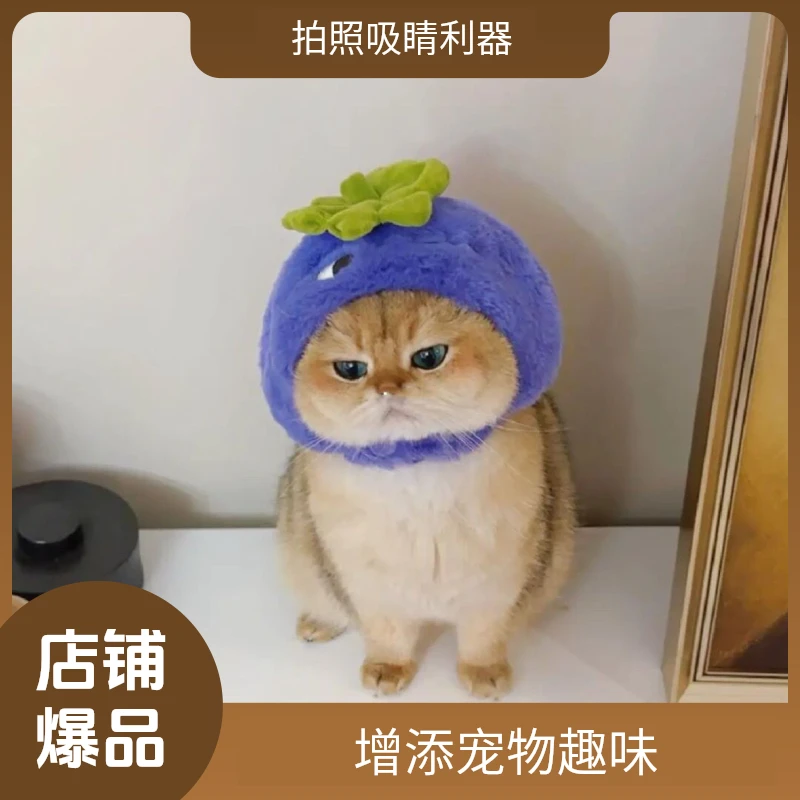 猫猫狗狗泰迪头饰装扮搞笑搞怪饰品帽子可爱宠物猫咪花枝鼠笼子