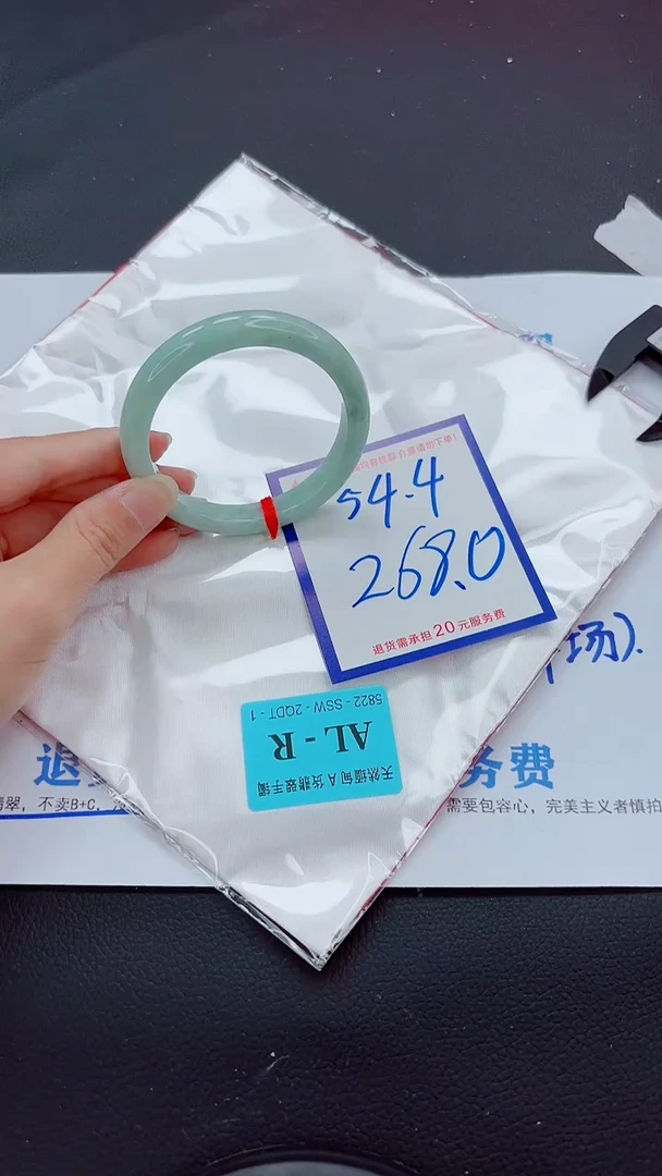 未镶嵌手镯翡翠11111111