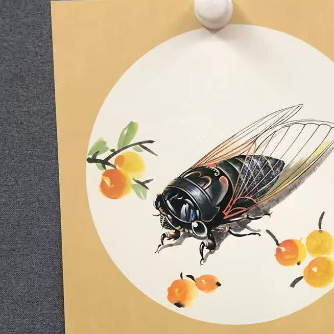 DYDS-468-W-251231-J-绘画