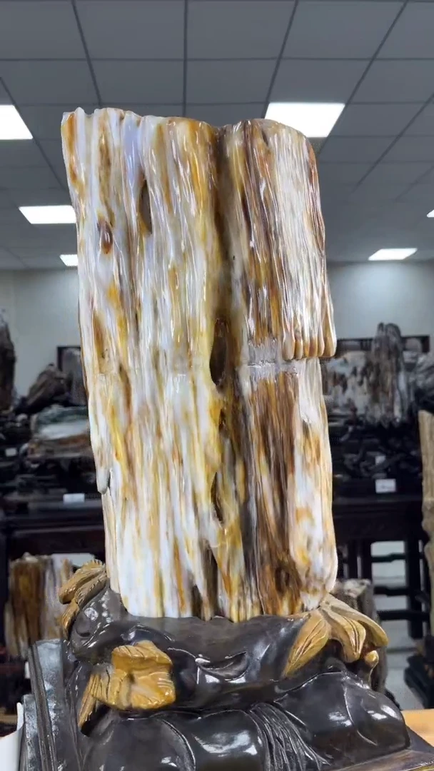 【闪购商品】硅化玉珠宝奇石未镶嵌1