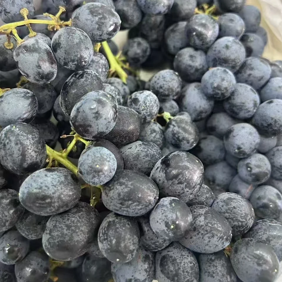 澳洲玫瑰香黑提/斤