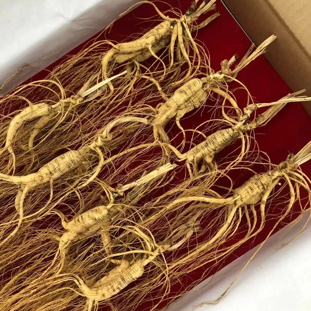 长白山林下参-改价-直播专用1