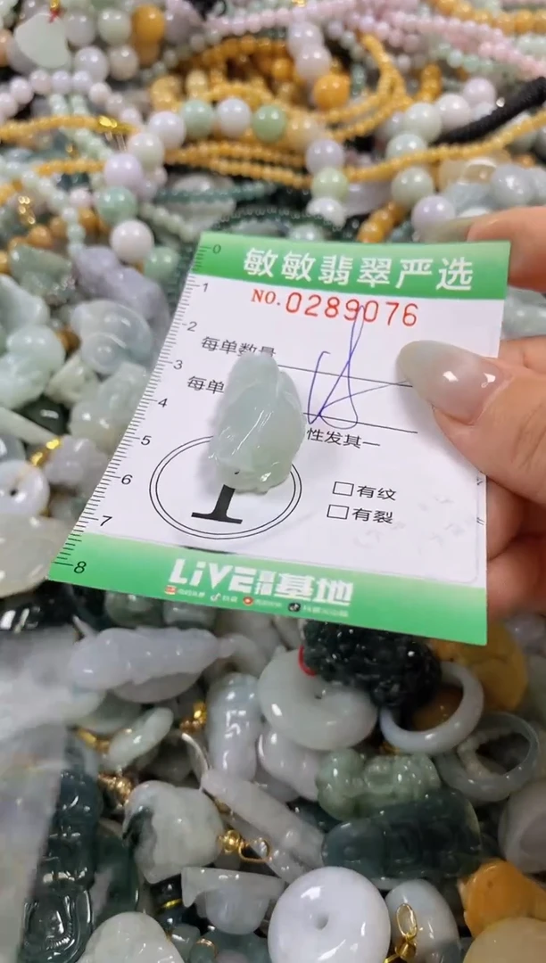 翡翠未镶嵌颈饰闪购0289076