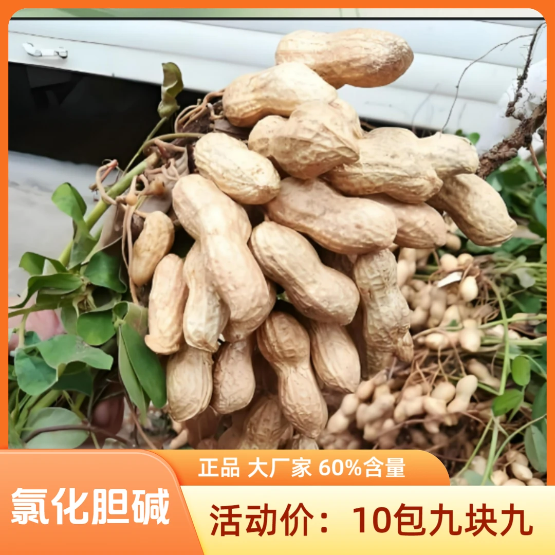 【十包九块九】氯化 胆碱膨大叶面喷施