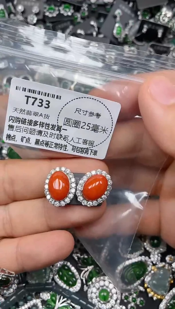 翡翠未镶嵌颈饰T733耳钉