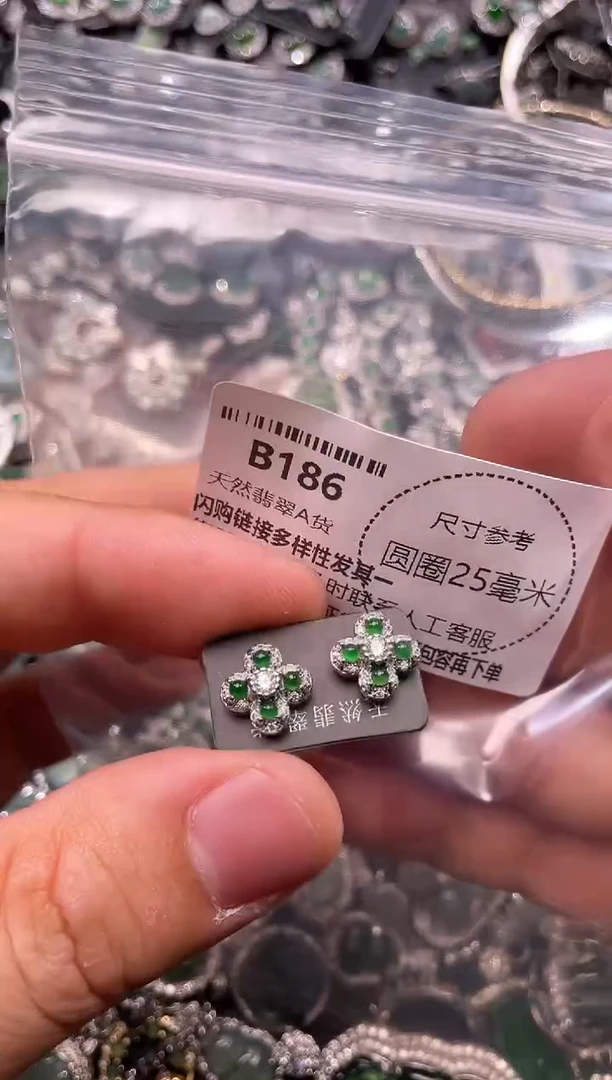 翡翠未镶嵌颈饰B186耳钉