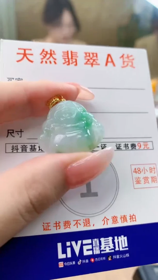 颈饰未镶嵌翡翠天然A货翡翠挂件