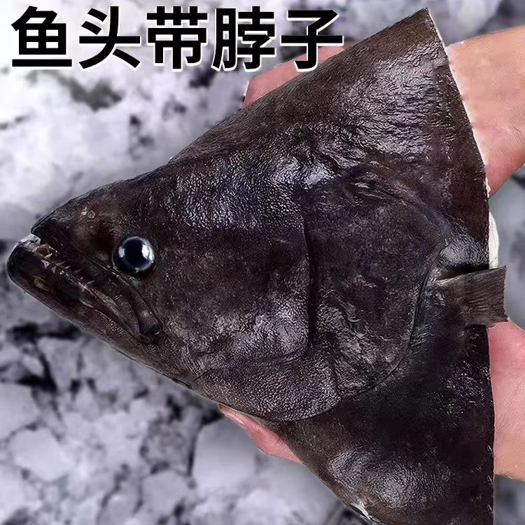 （6两-1.6斤规格）连云港发货 深海碟鱼头新鲜冷冻超大比目鱼头
