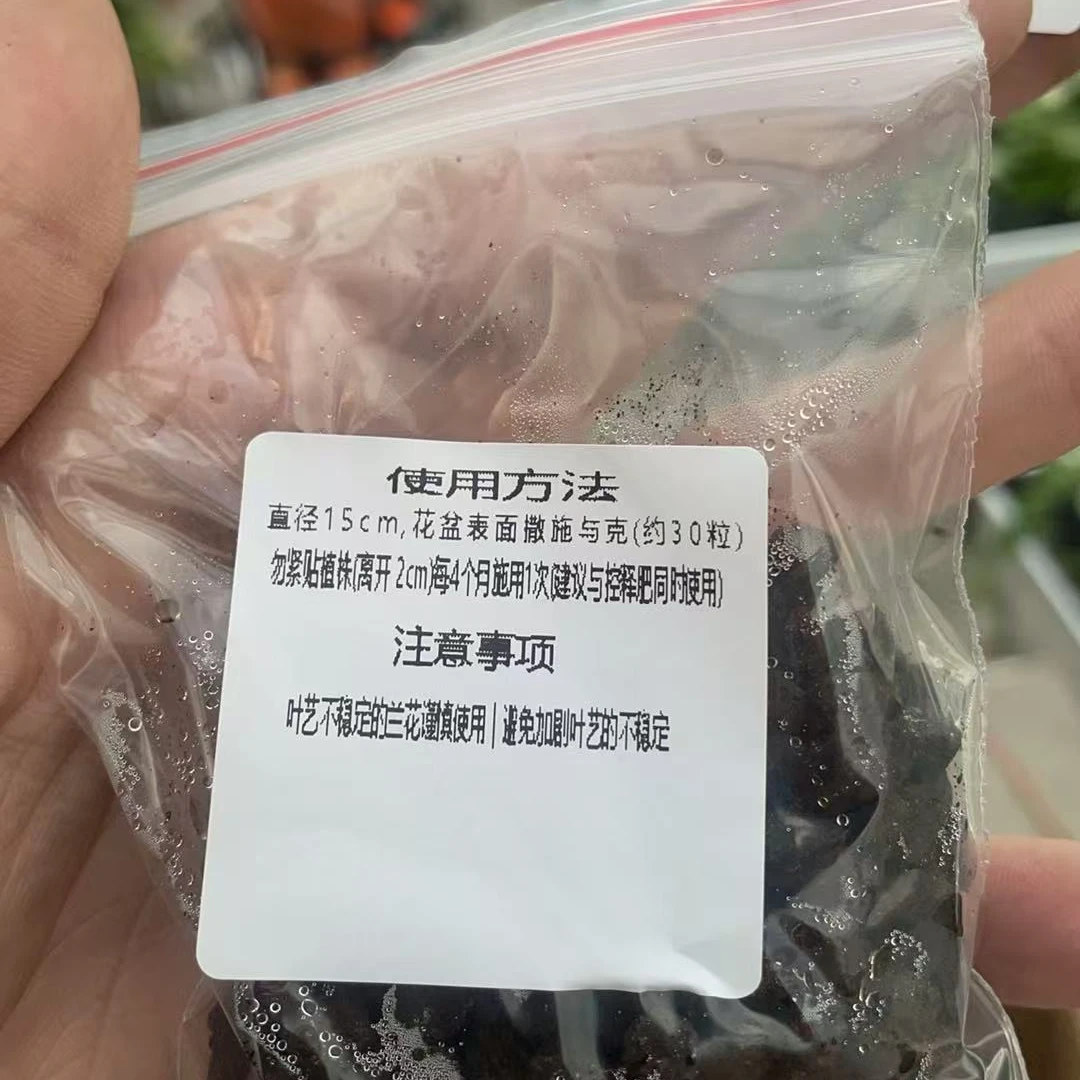 中秋福利蝴蝶兰植料（50g）