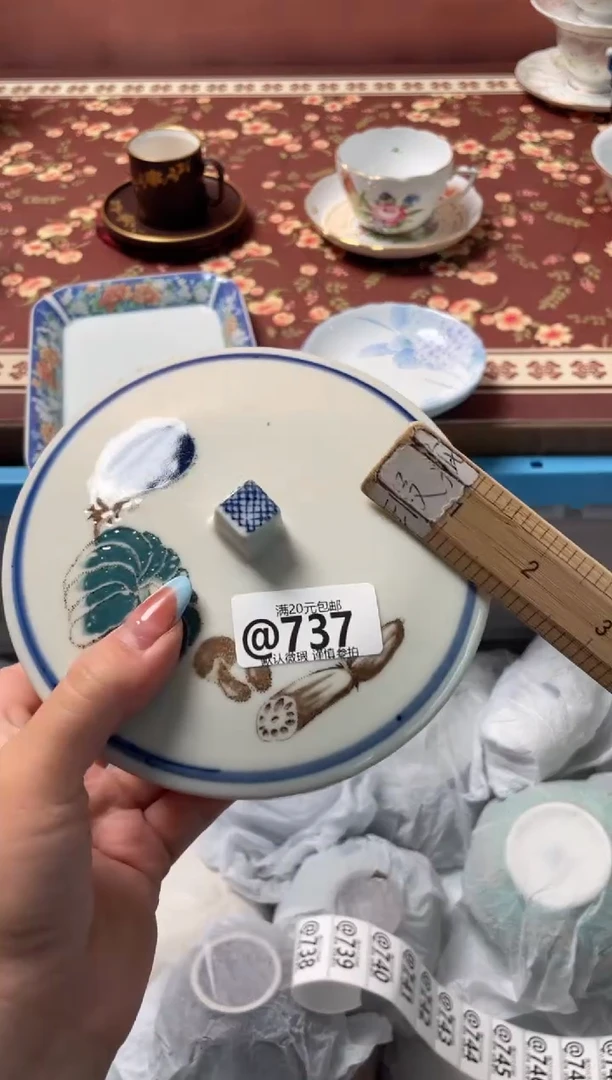 瓷片鱼****2瓷器瓷器@737