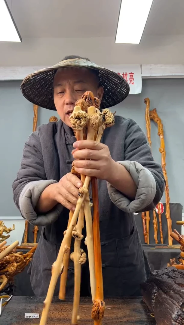 【闪购商品】黑果木其他黑果木255