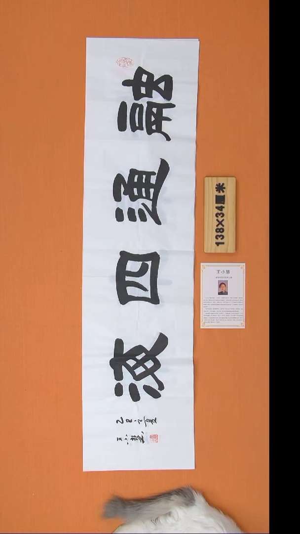 书法王小慧书法精品纯手写  陕西西安